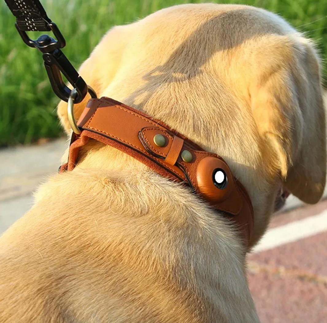 Kindred Paw GPS Smart Tracking Collar
